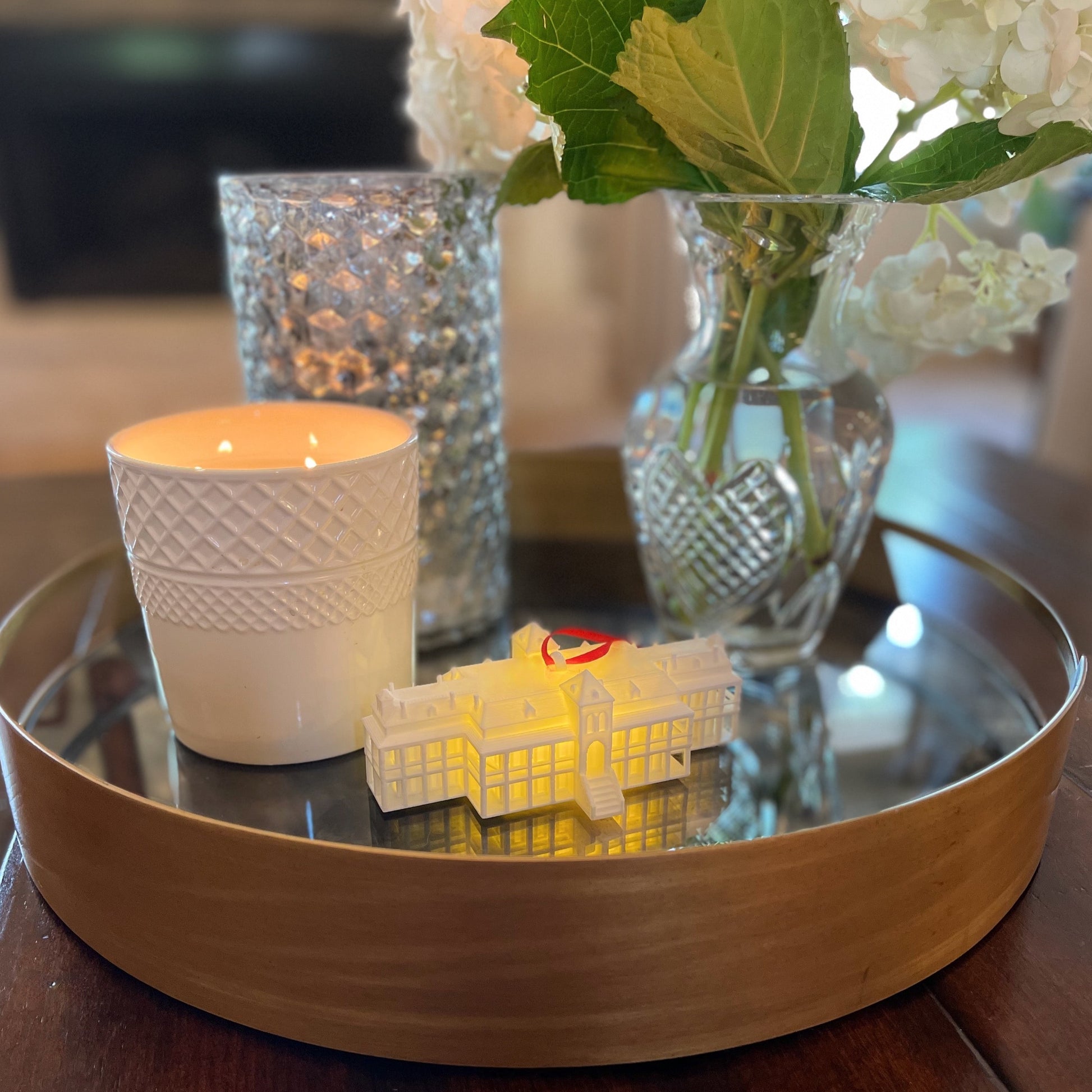 University of Arizona home decor, shown on a living room tray.