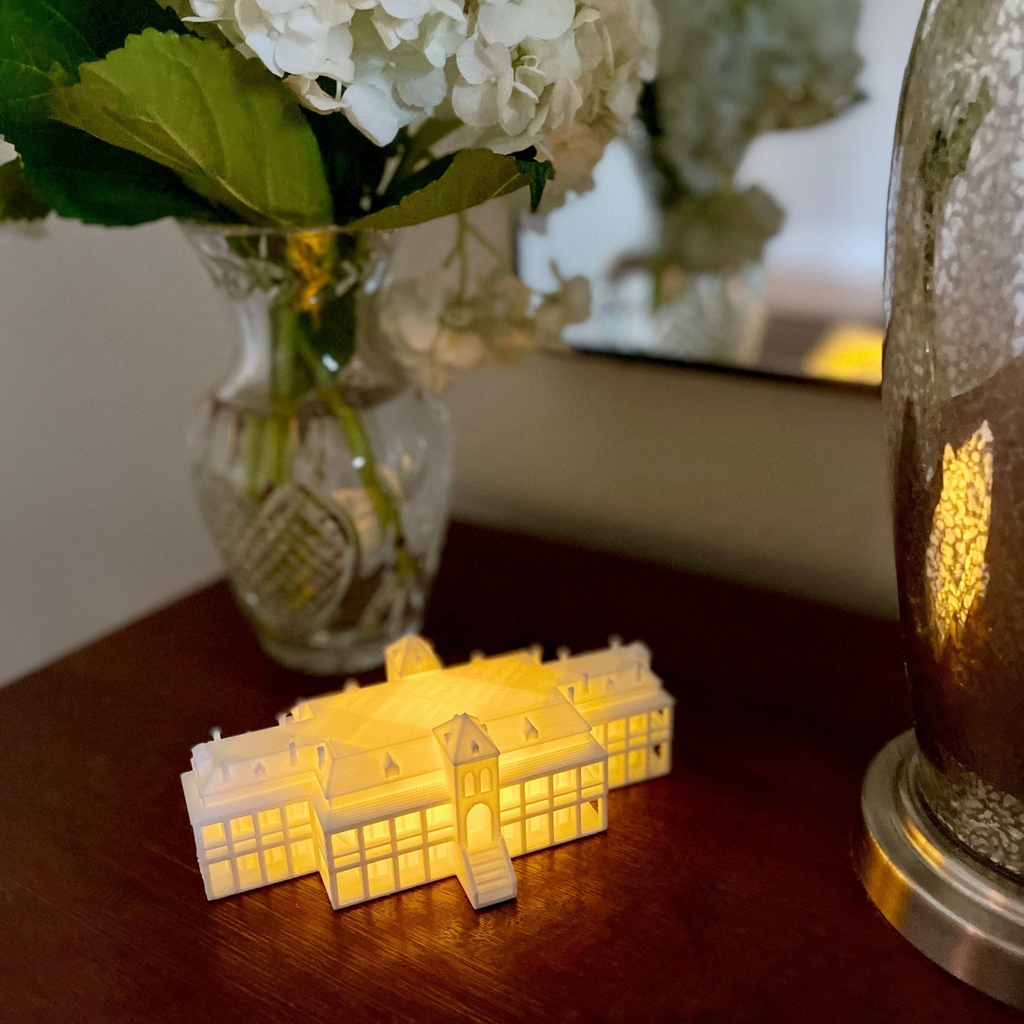 The University of Arizona night light, shown on a bedside table.