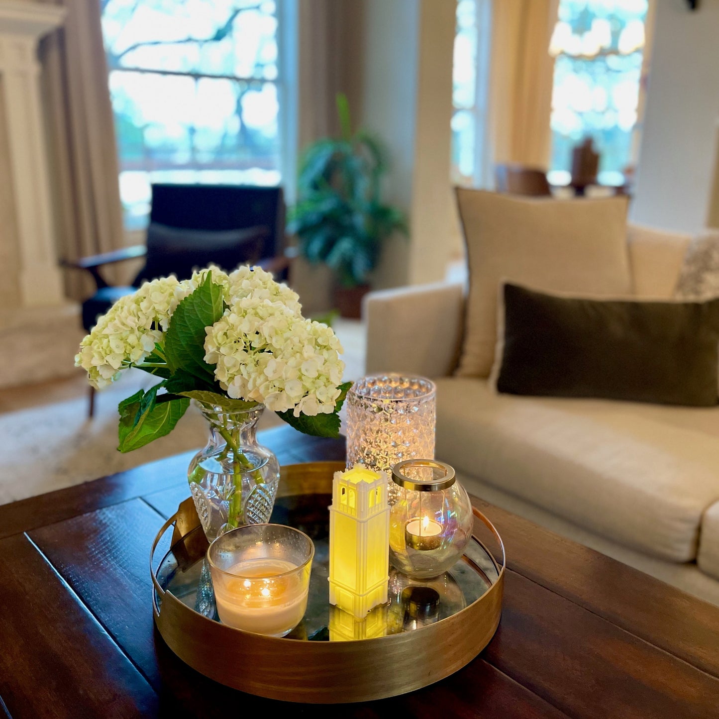 The University of Florida college acceptance gift, shown on a living room tray.