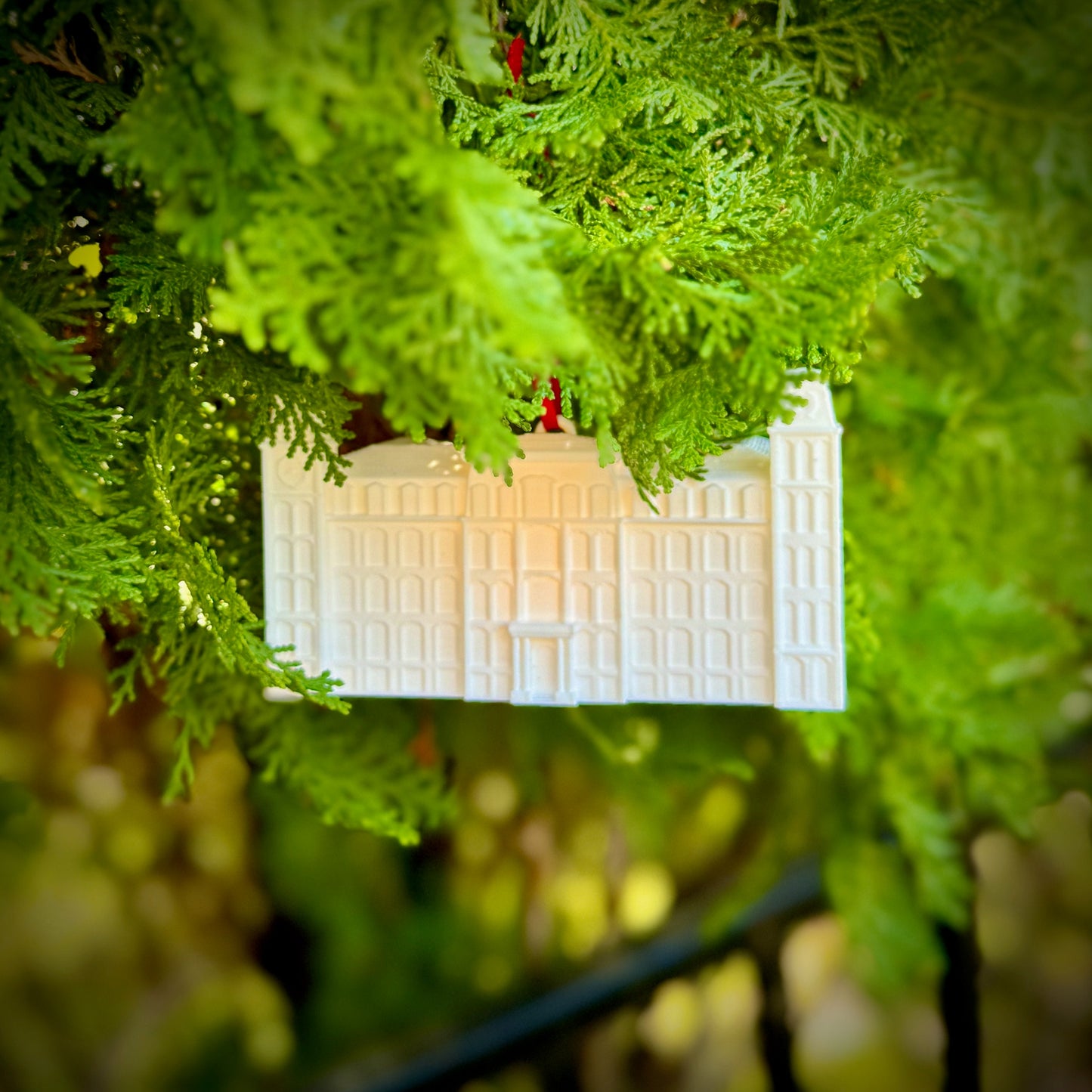 The University of Arkansas Christmas Tree decoration, shown on an Arkansas Tree.